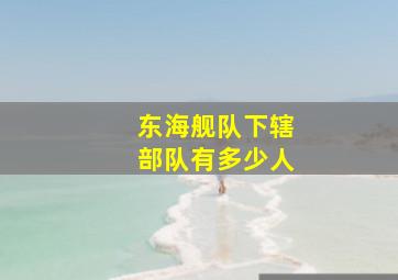 东海舰队下辖部队有多少人