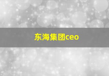 东海集团ceo