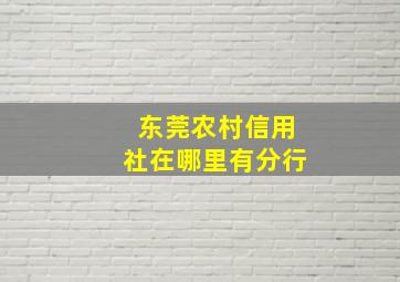 东莞农村信用社在哪里有分行