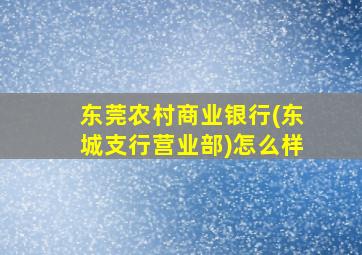 东莞农村商业银行(东城支行营业部)怎么样