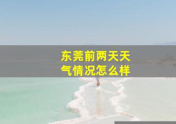 东莞前两天天气情况怎么样