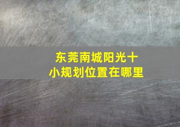 东莞南城阳光十小规划位置在哪里