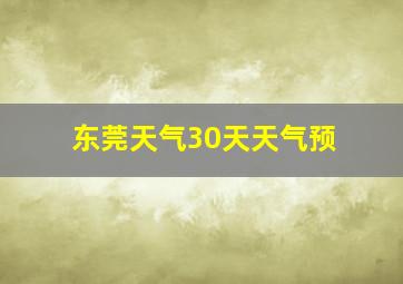 东莞天气30天天气预