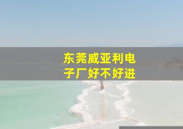 东莞威亚利电子厂好不好进