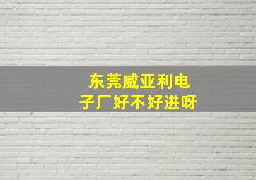 东莞威亚利电子厂好不好进呀