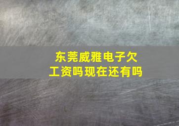 东莞威雅电子欠工资吗现在还有吗