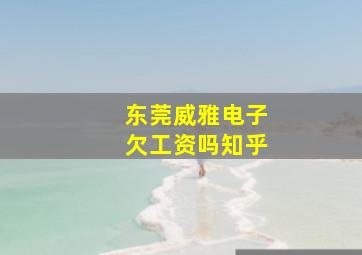 东莞威雅电子欠工资吗知乎