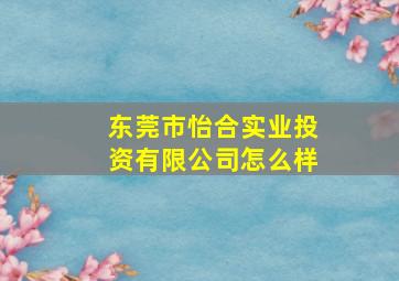 东莞市怡合实业投资有限公司怎么样