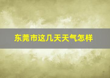 东莞市这几天天气怎样