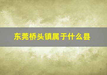 东莞桥头镇属于什么县