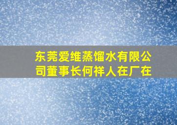 东莞爱维蒸馏水有限公司董事长何祥人在厂在