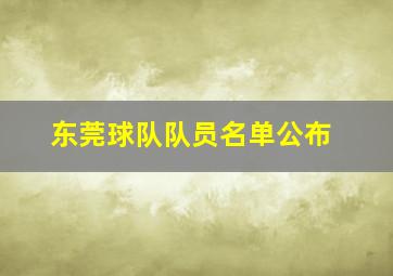 东莞球队队员名单公布