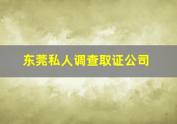 东莞私人调查取证公司