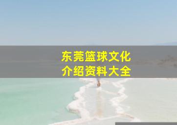 东莞篮球文化介绍资料大全