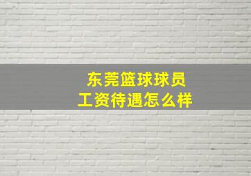 东莞篮球球员工资待遇怎么样