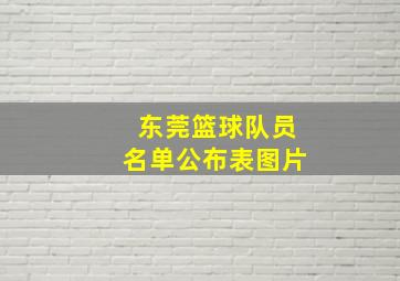 东莞篮球队员名单公布表图片