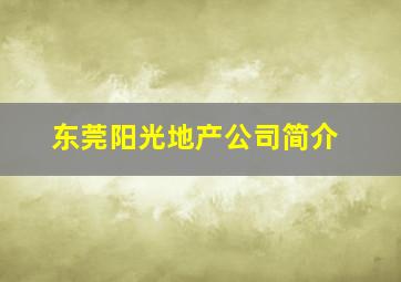 东莞阳光地产公司简介