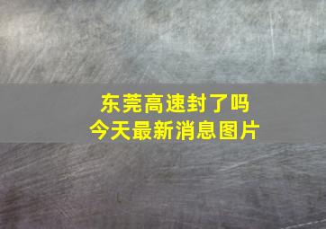 东莞高速封了吗今天最新消息图片