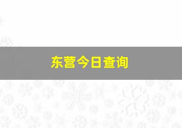 东营今日查询