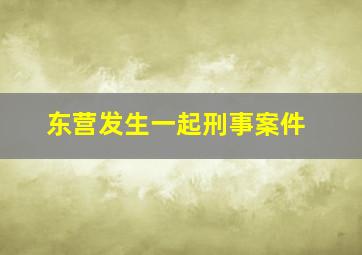 东营发生一起刑事案件