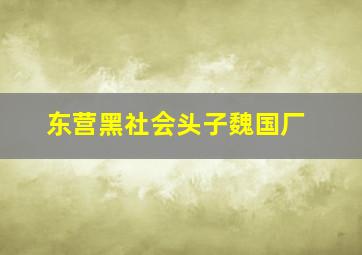 东营黑社会头子魏国厂