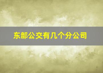 东部公交有几个分公司