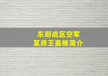 东部战区空军某师王嘉楠简介