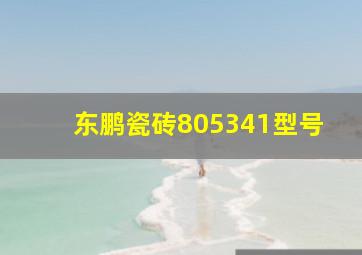 东鹏瓷砖805341型号