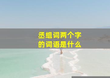 丞组词两个字的词语是什么