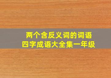 两个含反义词的词语四字成语大全集一年级