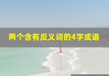 两个含有反义词的4字成语