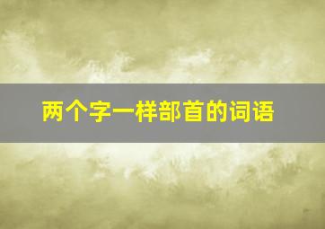 两个字一样部首的词语