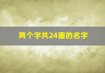 两个字共24画的名字