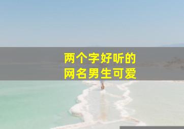 两个字好听的网名男生可爱