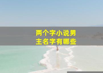 两个字小说男主名字有哪些