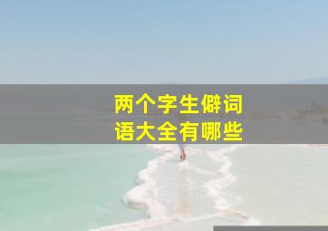 两个字生僻词语大全有哪些