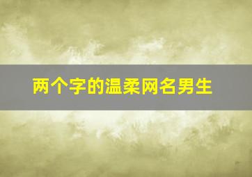 两个字的温柔网名男生