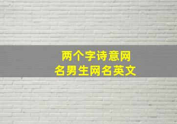 两个字诗意网名男生网名英文