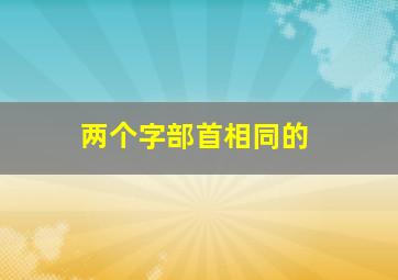 两个字部首相同的