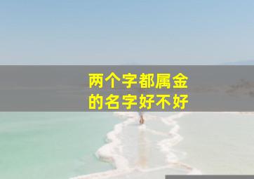 两个字都属金的名字好不好