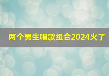 两个男生唱歌组合2024火了