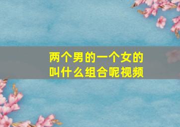 两个男的一个女的叫什么组合呢视频