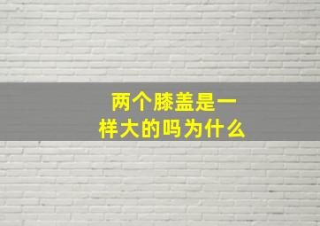 两个膝盖是一样大的吗为什么