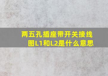 两五孔插座带开关接线图L1和L2是什么意思