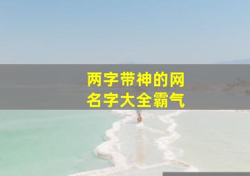 两字带神的网名字大全霸气