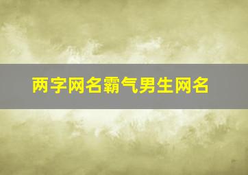 两字网名霸气男生网名