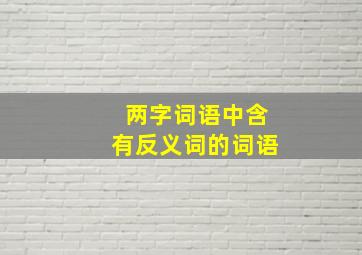 两字词语中含有反义词的词语