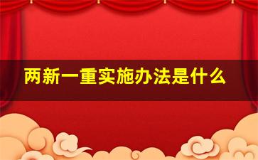 两新一重实施办法是什么