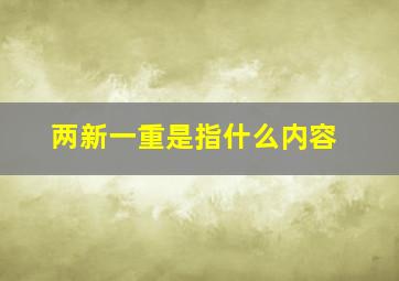 两新一重是指什么内容