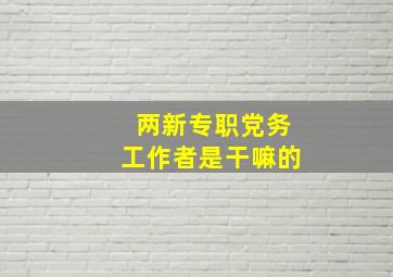 两新专职党务工作者是干嘛的